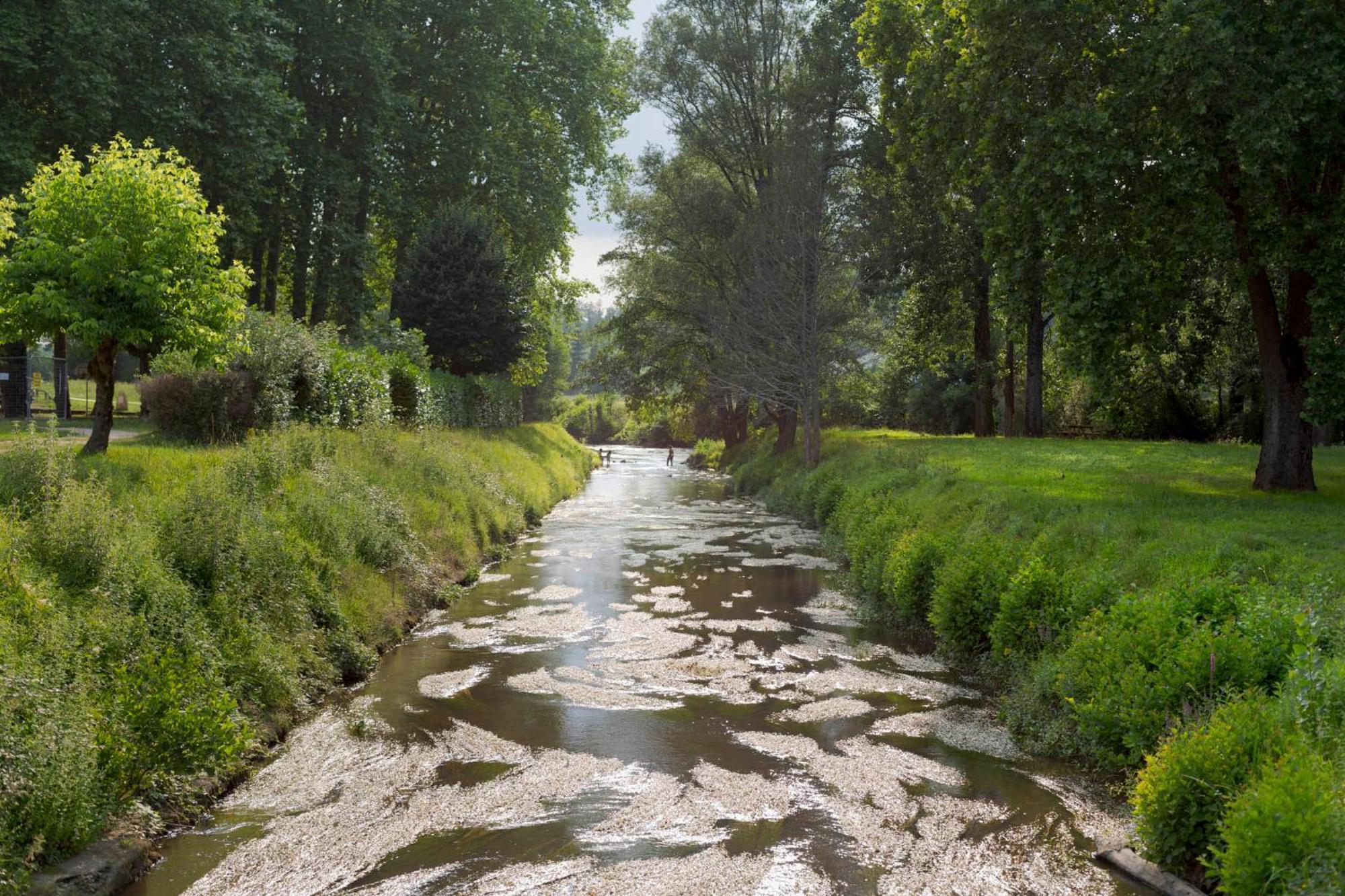 La Petite Maison Du Perigord Tourtoirac ภายนอก รูปภาพ
